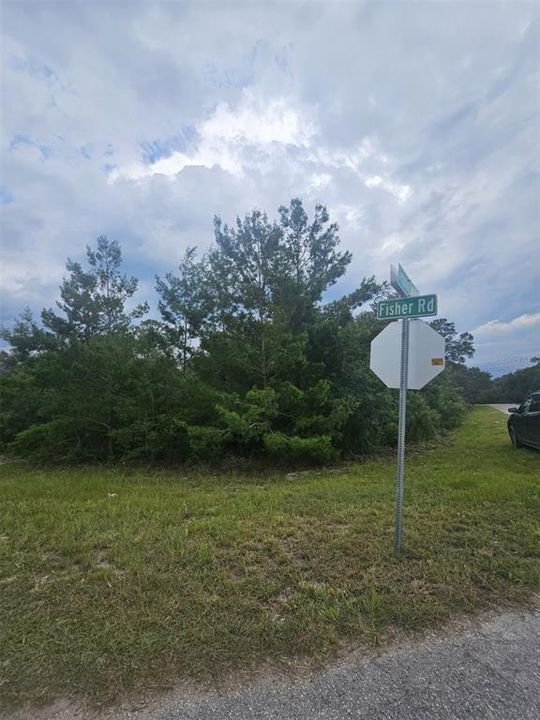For Sale: $25,000 (0.33 acres)