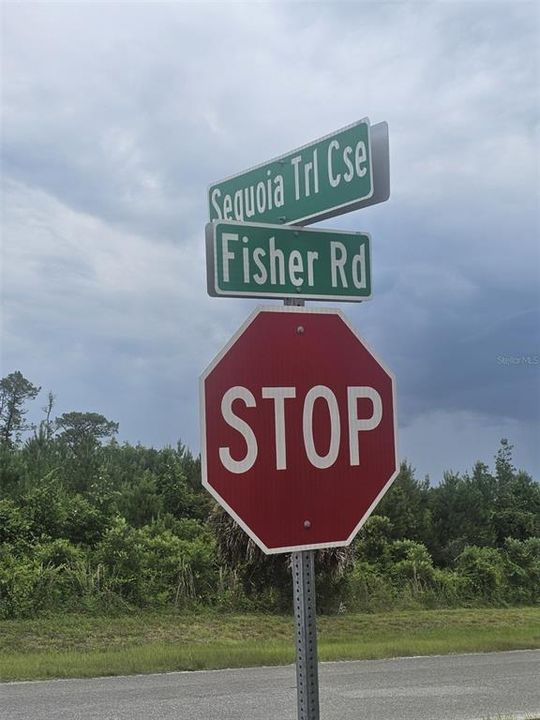 For Sale: $25,000 (0.33 acres)