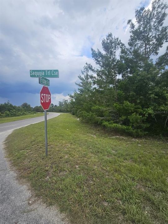 For Sale: $25,000 (0.33 acres)
