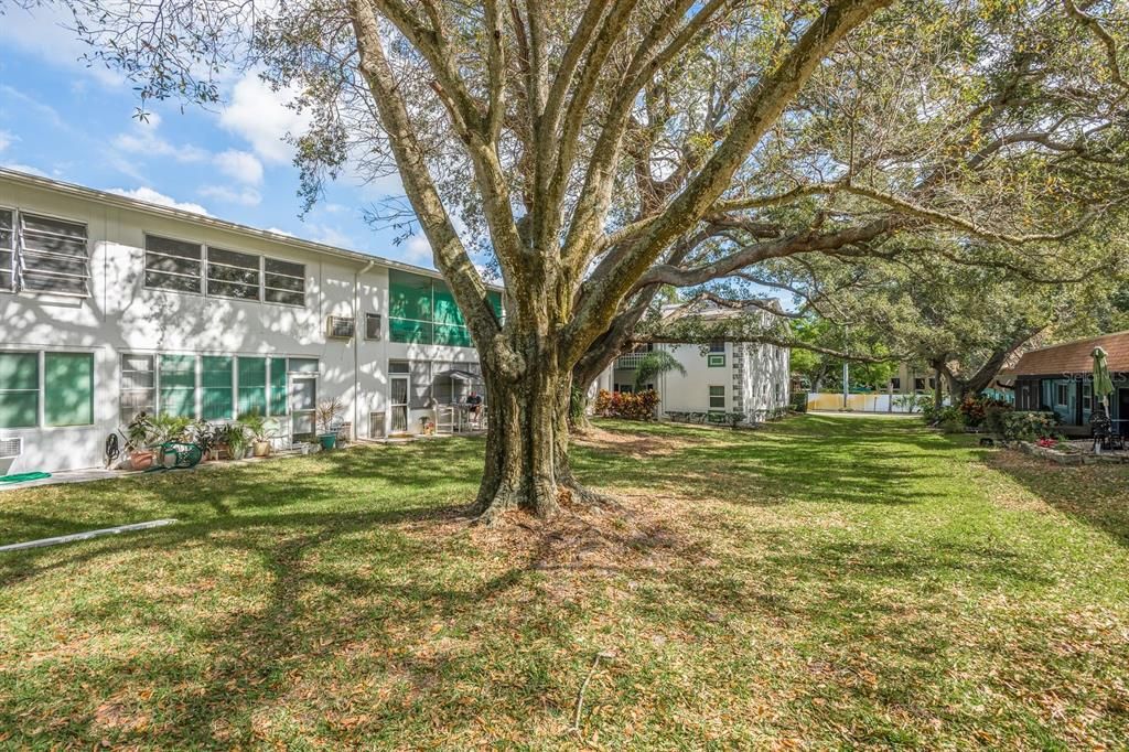 For Sale: $152,000 (2 beds, 1 baths, 935 Square Feet)
