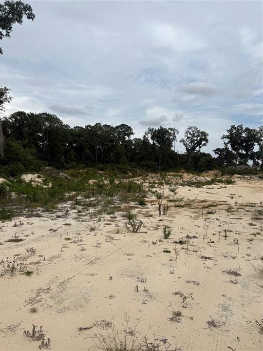 En Venta: $599,000 (9.57 acres)