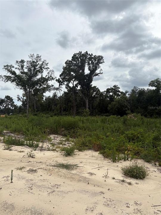 En Venta: $599,000 (9.57 acres)