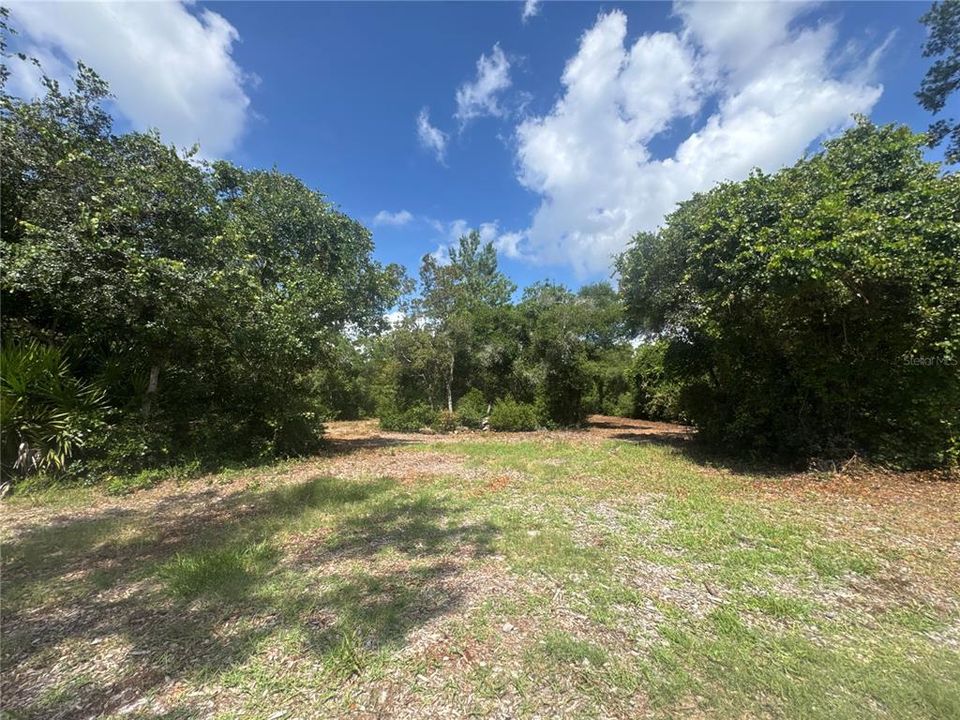 For Sale: $55,000 (1.55 acres)