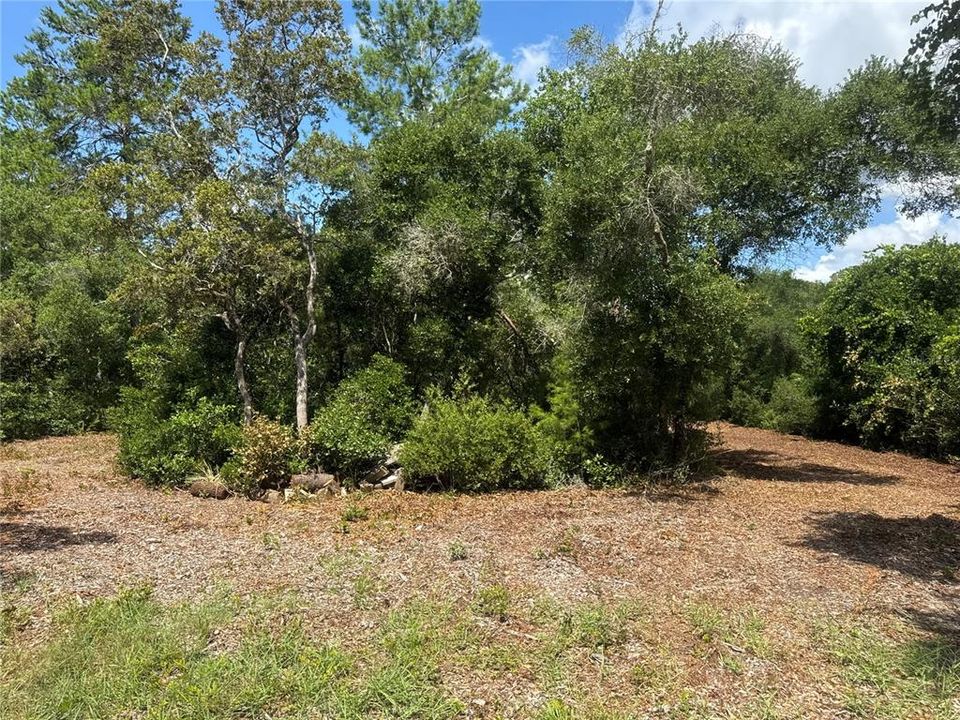 For Sale: $55,000 (1.55 acres)