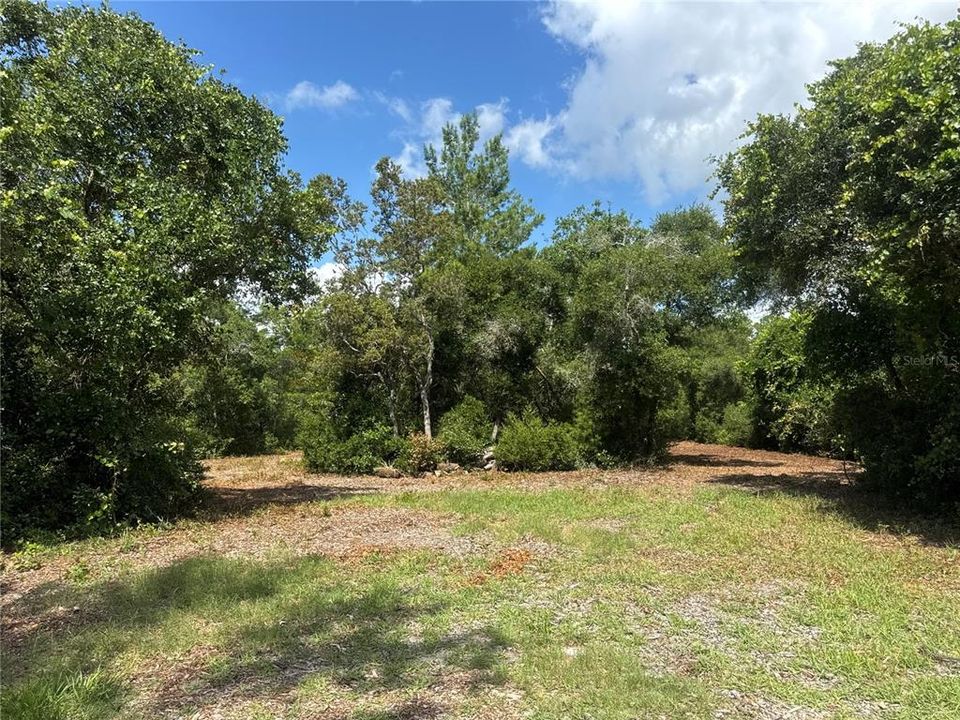 For Sale: $55,000 (1.55 acres)