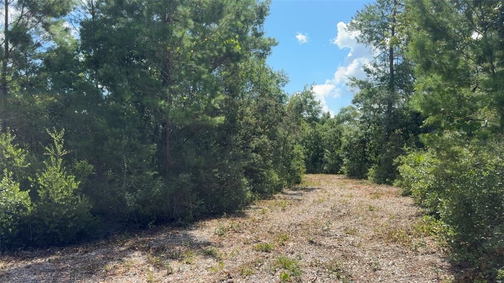 For Sale: $55,000 (1.55 acres)