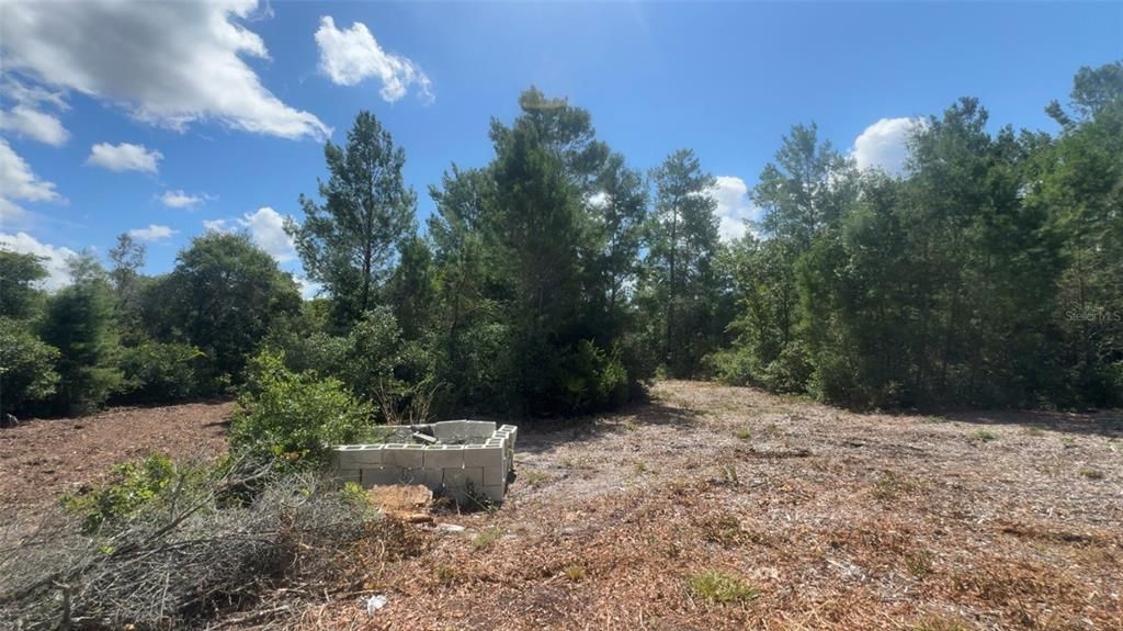 For Sale: $55,000 (1.55 acres)