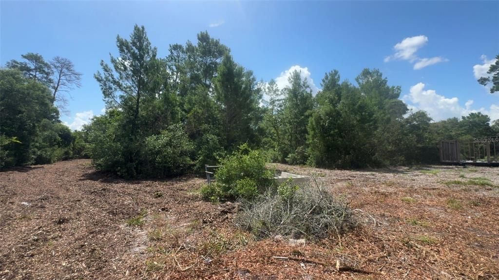 For Sale: $55,000 (1.55 acres)