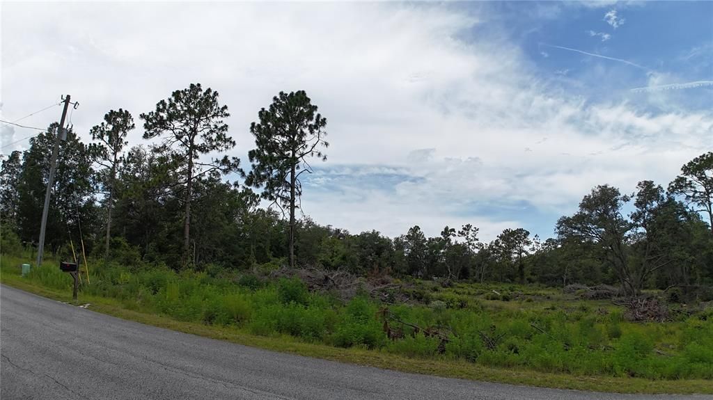 待售: $34,900 (0.99 acres)