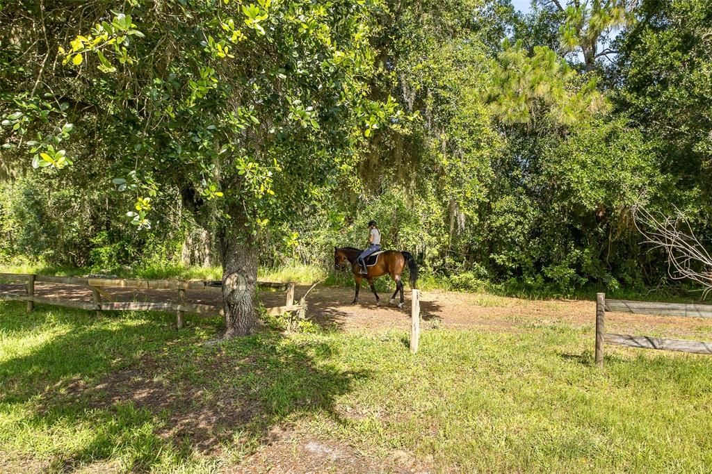 En Venta: $939,000 (4 camas, 3 baños, 3342 Pies cuadrados)