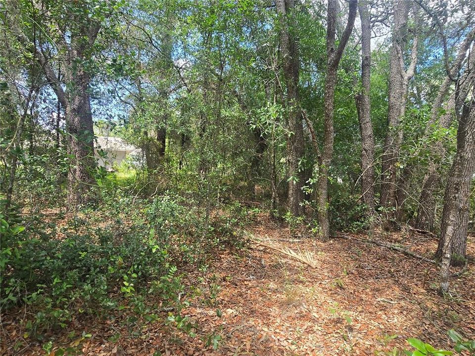 For Sale: $29,990 (0.28 acres)