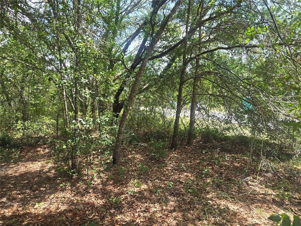 For Sale: $29,990 (0.28 acres)