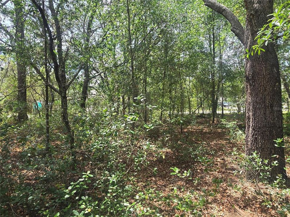 For Sale: $29,990 (0.28 acres)