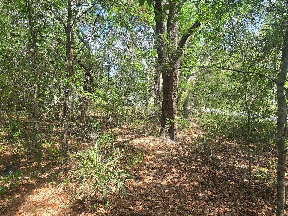 For Sale: $29,990 (0.28 acres)