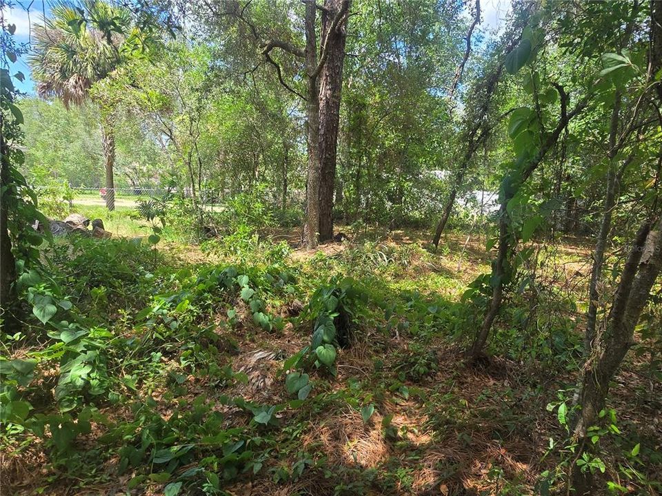 For Sale: $29,990 (0.28 acres)