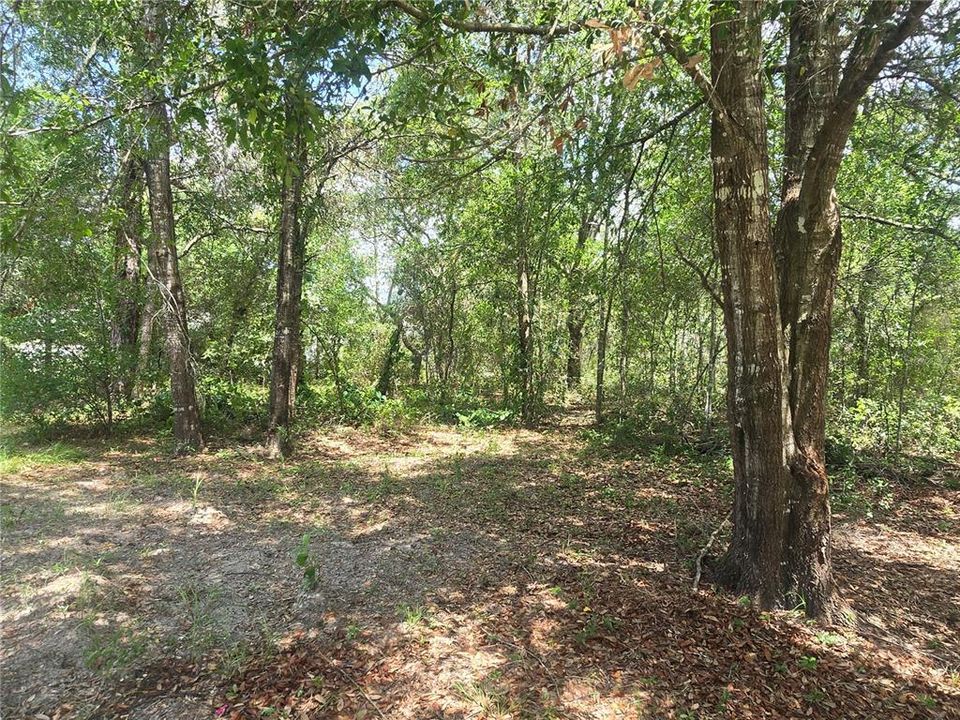 For Sale: $29,990 (0.28 acres)