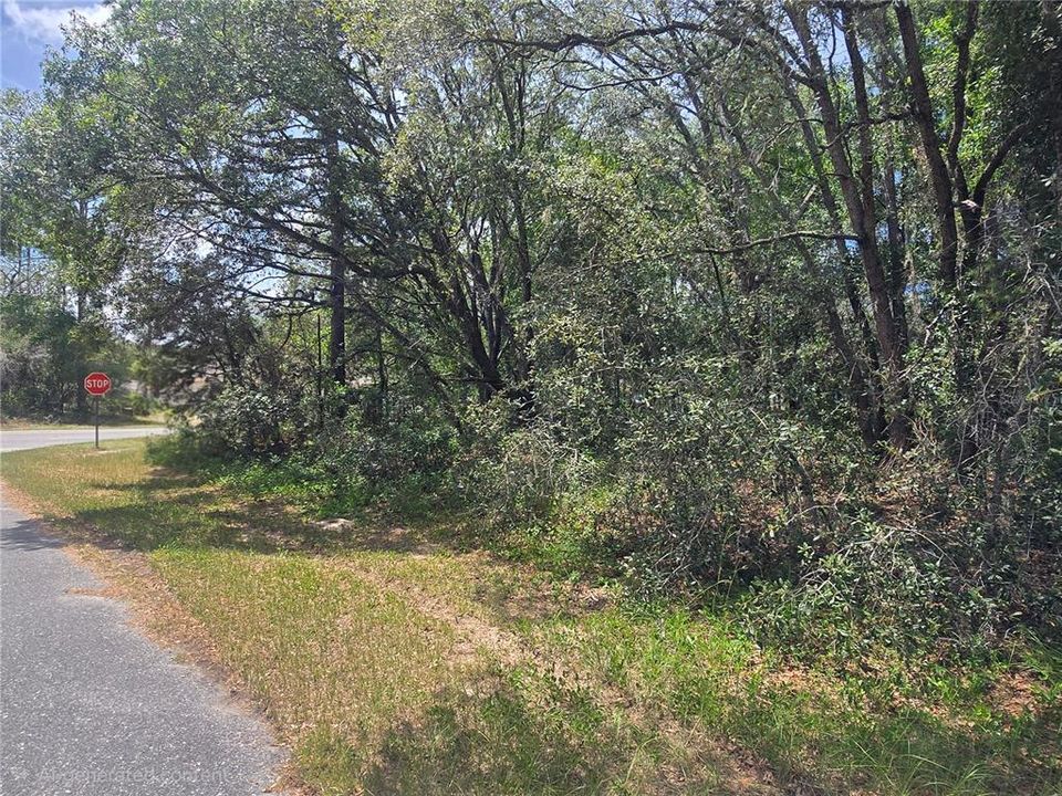 For Sale: $29,990 (0.28 acres)