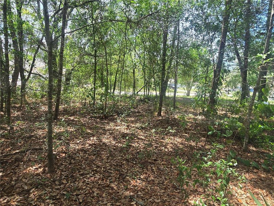 For Sale: $29,990 (0.28 acres)