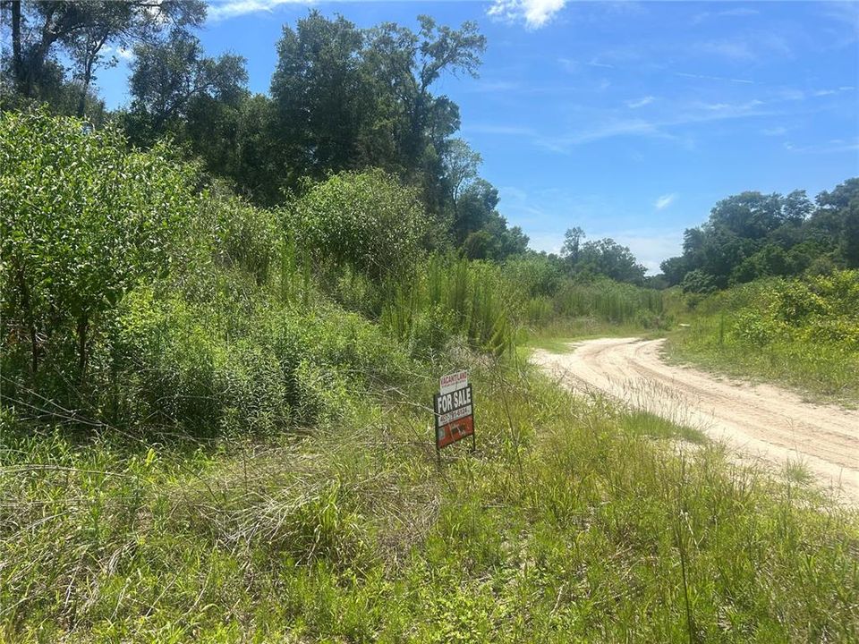 For Sale: $180,000 (4.42 acres)