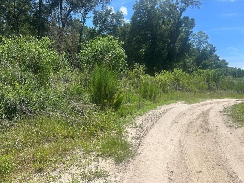 For Sale: $180,000 (4.42 acres)