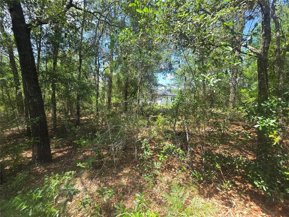 На продажу: $29,990 (0.34 acres)