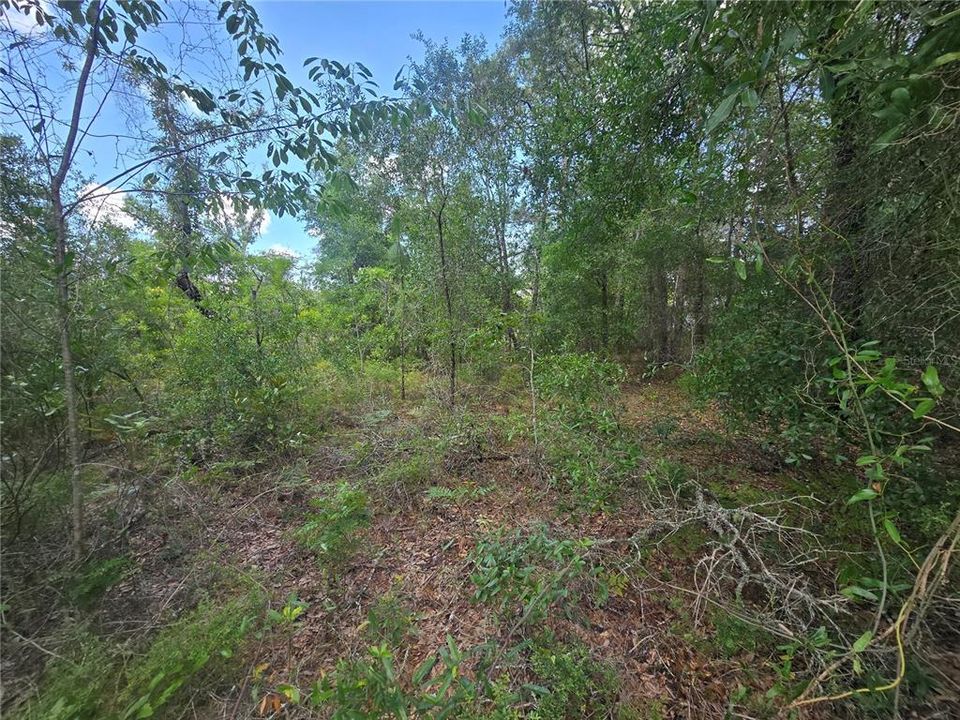 На продажу: $29,990 (0.34 acres)