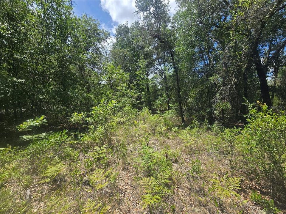 На продажу: $29,990 (0.34 acres)