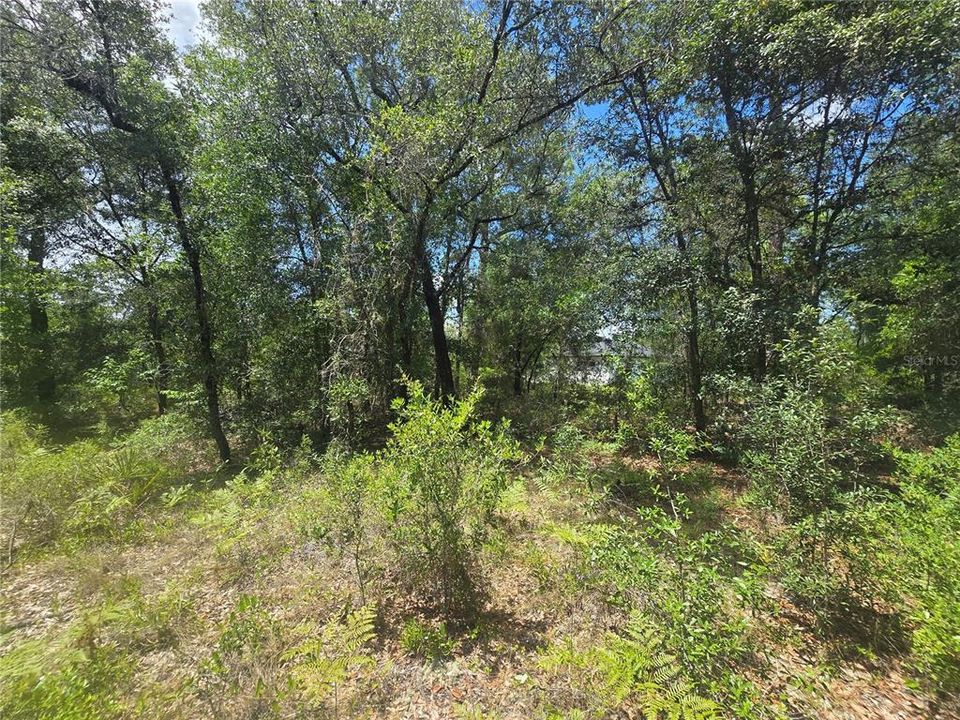 На продажу: $29,990 (0.34 acres)