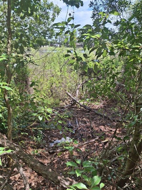 待售: $149,000 (0.93 acres)