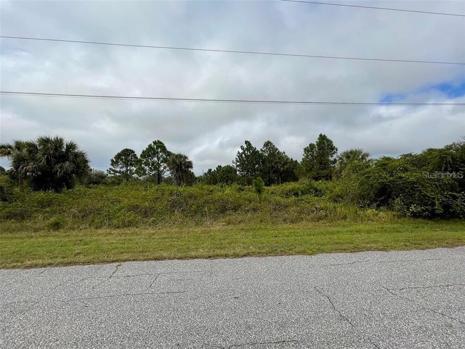 For Sale: $16,500 (0.31 acres)