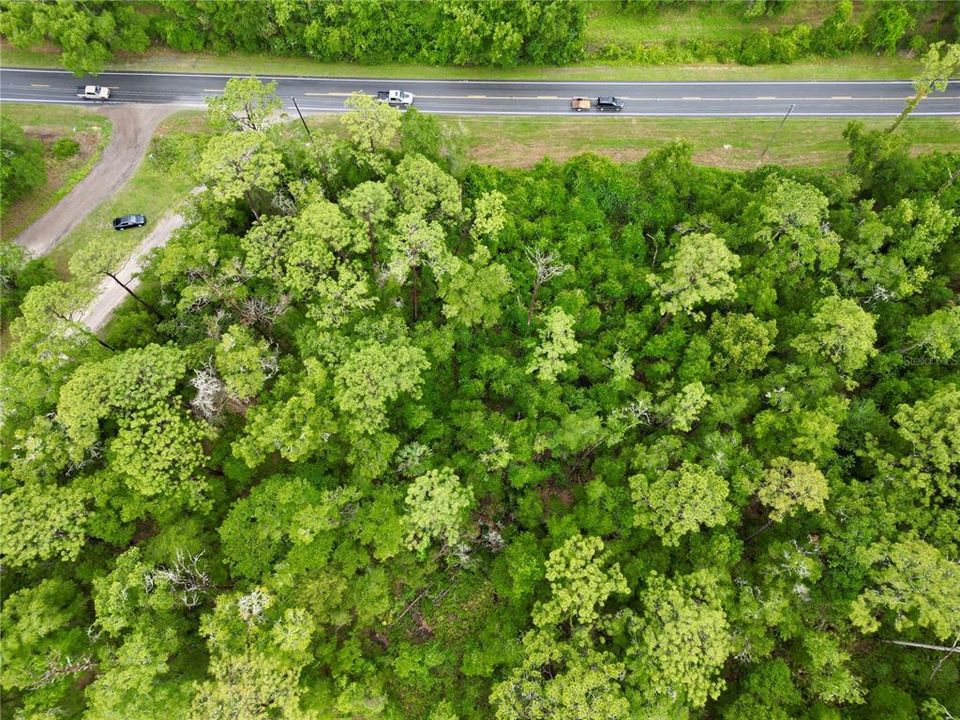 En Venta: $29,800 (0.32 acres)