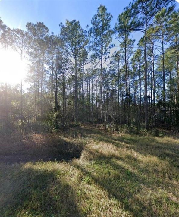 For Sale: $45,000 (1.14 acres)