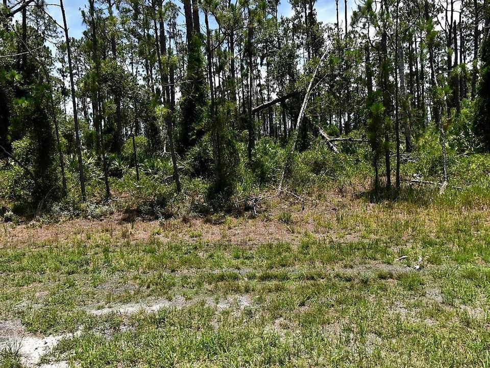 For Sale: $23,000 (0.23 acres)