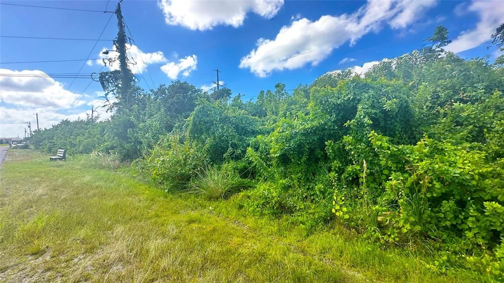 For Sale: $50,000 (0.23 acres)