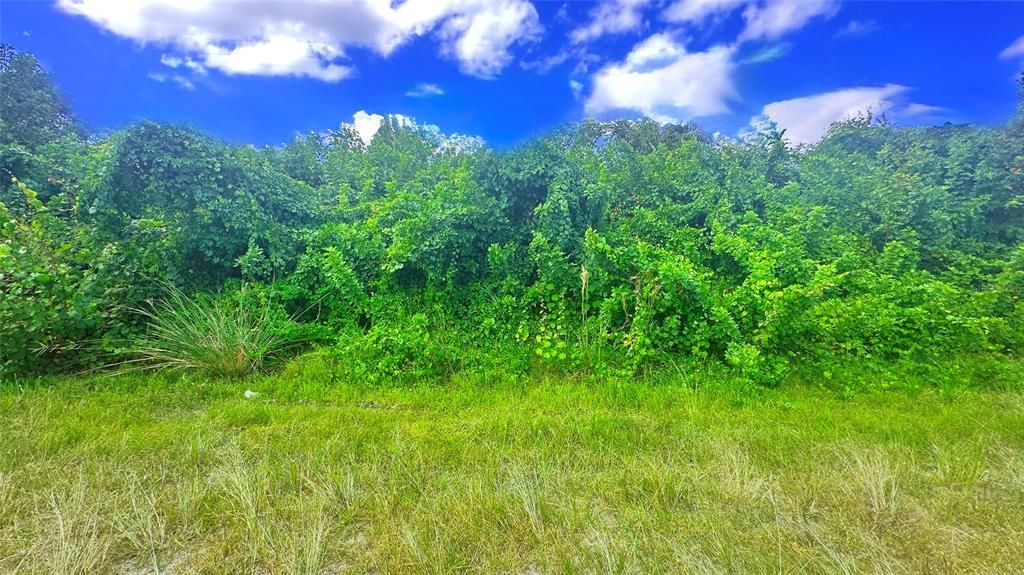 For Sale: $50,000 (0.23 acres)