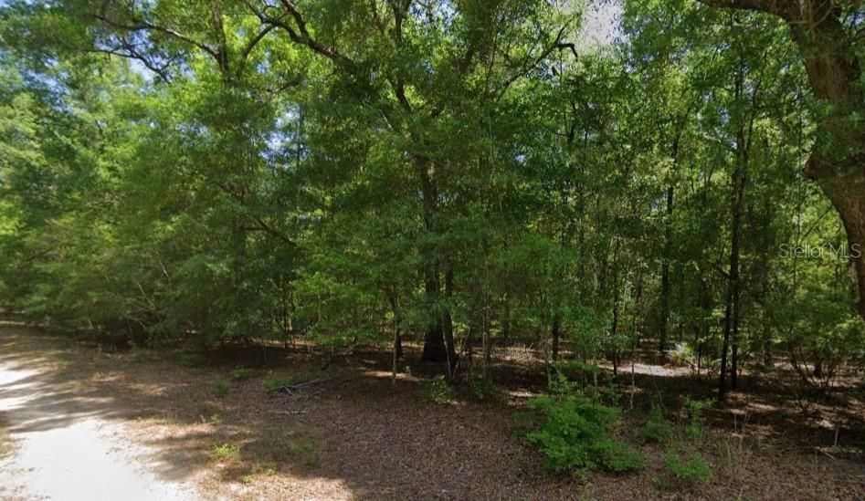 На продажу: $32,500 (1.00 acres)