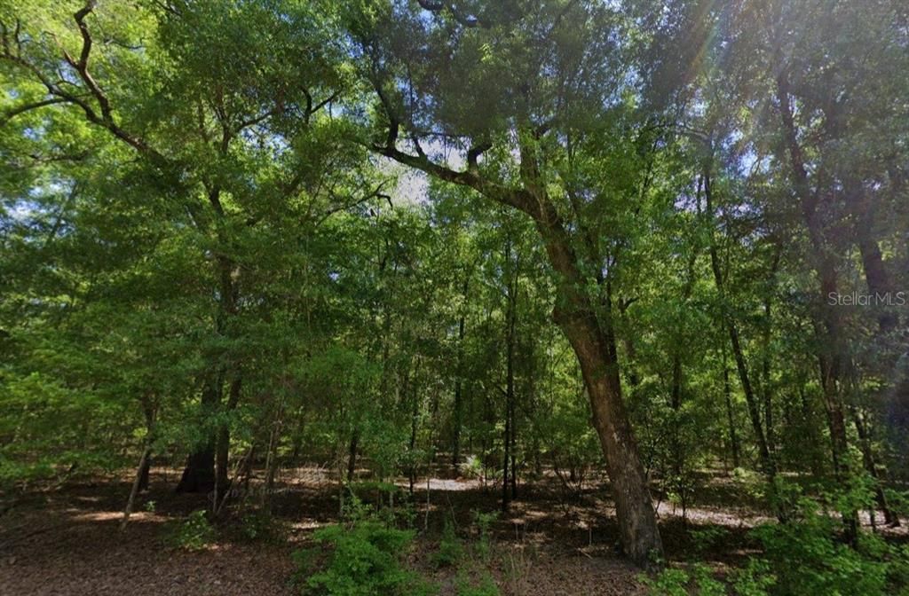 На продажу: $32,500 (1.00 acres)
