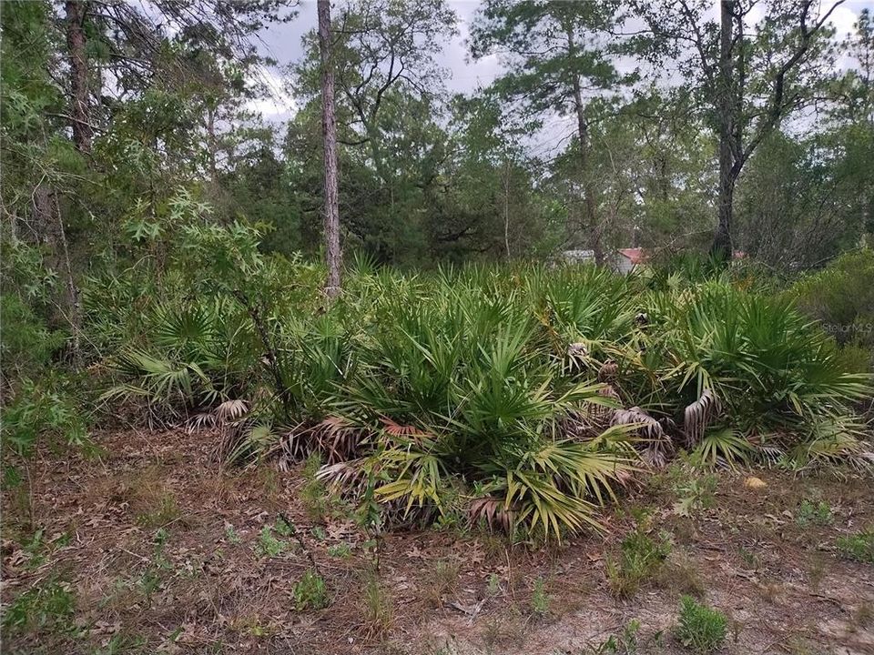 For Sale: $78,000 (2.48 acres)