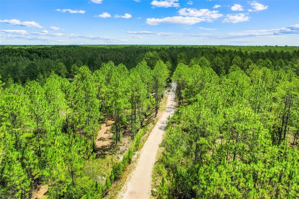 For Sale: $92,500 (6.64 acres)