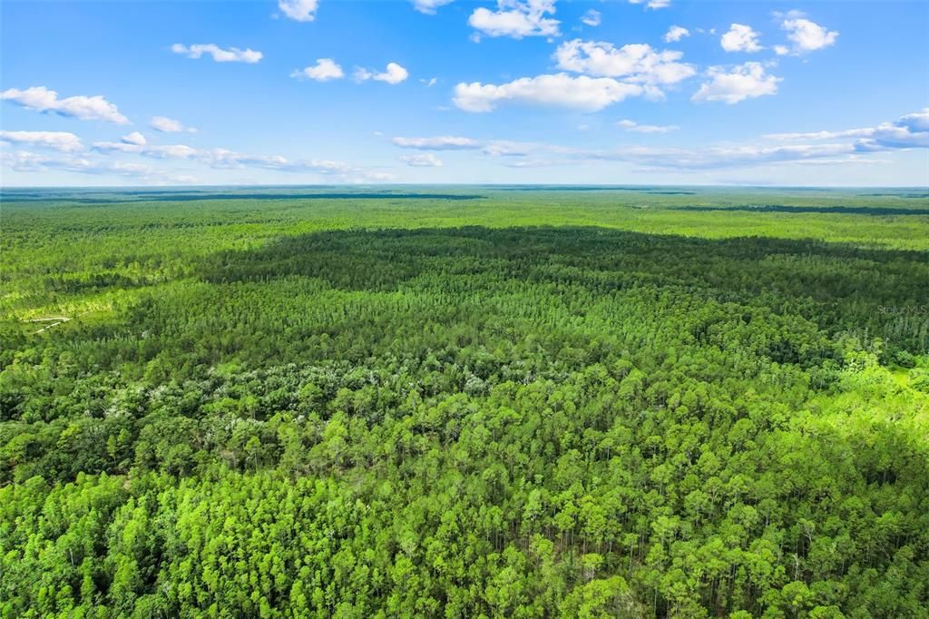 For Sale: $92,500 (6.64 acres)