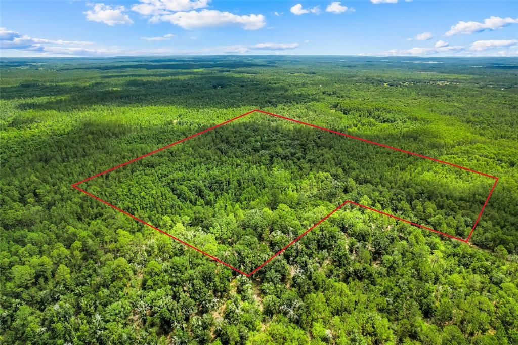 For Sale: $92,500 (6.64 acres)