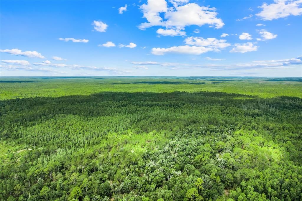 For Sale: $92,500 (6.64 acres)