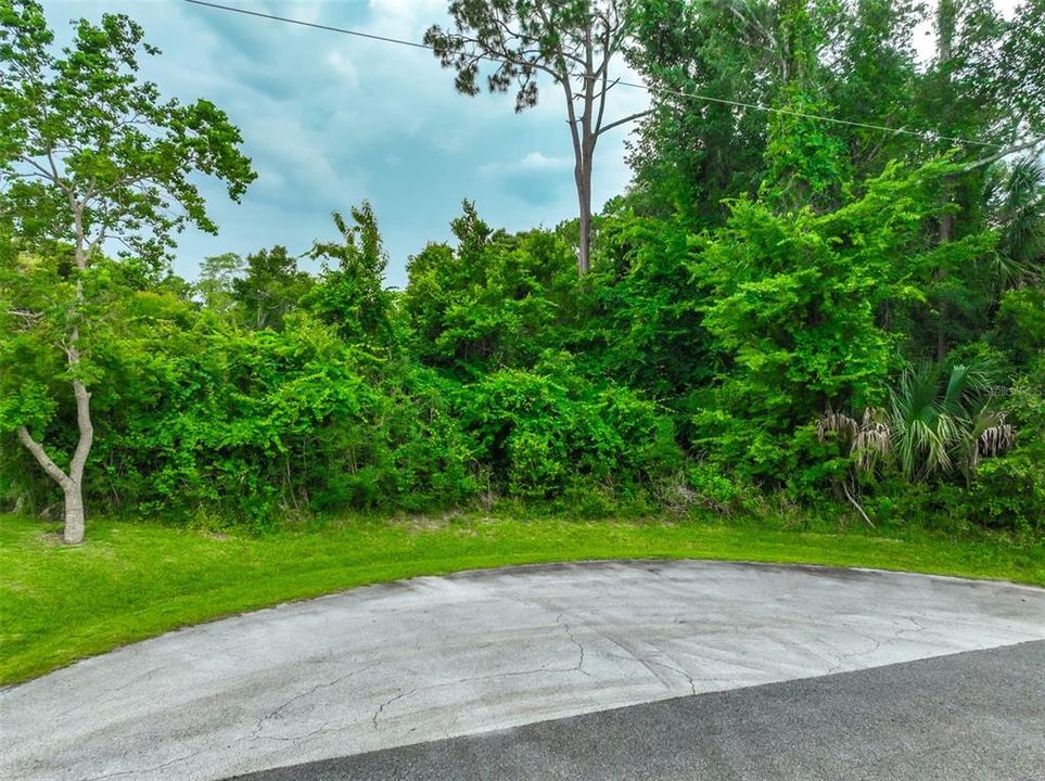 Active With Contract: $65,000 (0.25 acres)