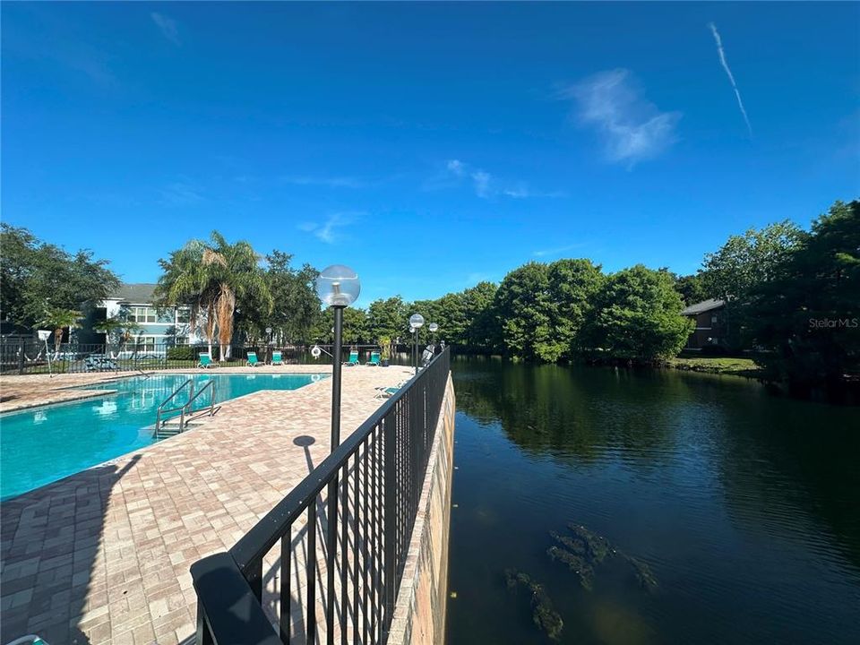 For Rent: $1,600 (2 beds, 1 baths, 934 Square Feet)