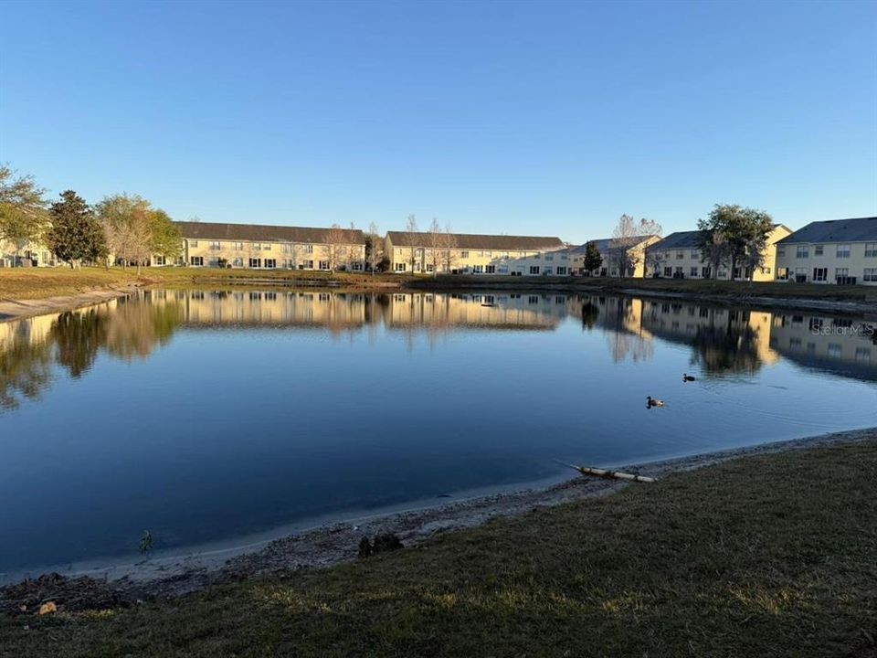 For Rent: $2,300 (4 beds, 3 baths, 1873 Square Feet)