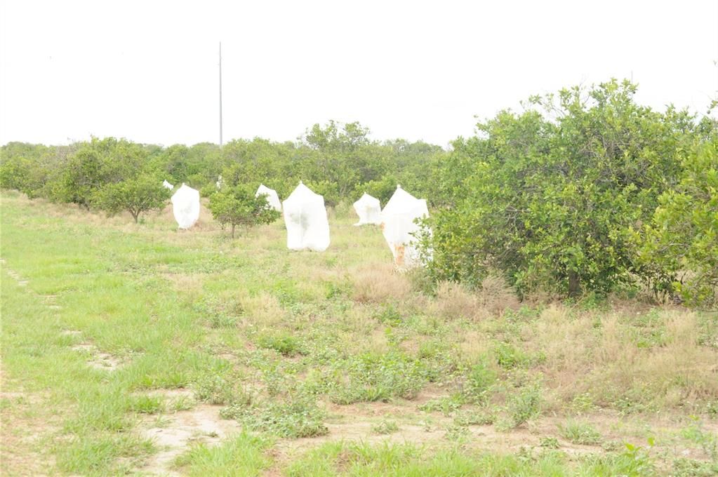 For Sale: $300,000 (10.24 acres)