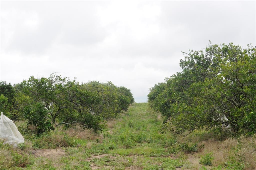 For Sale: $300,000 (10.24 acres)