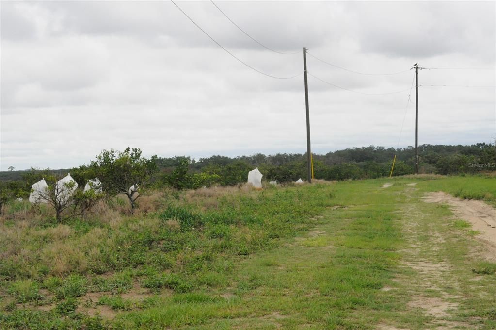 For Sale: $300,000 (10.24 acres)