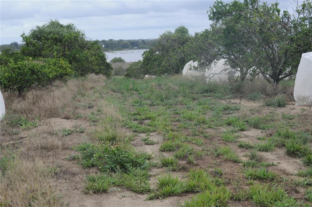 For Sale: $300,000 (10.24 acres)