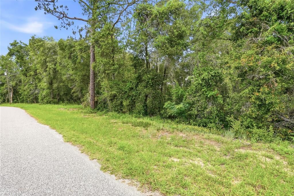 For Sale: $70,000 (1.80 acres)